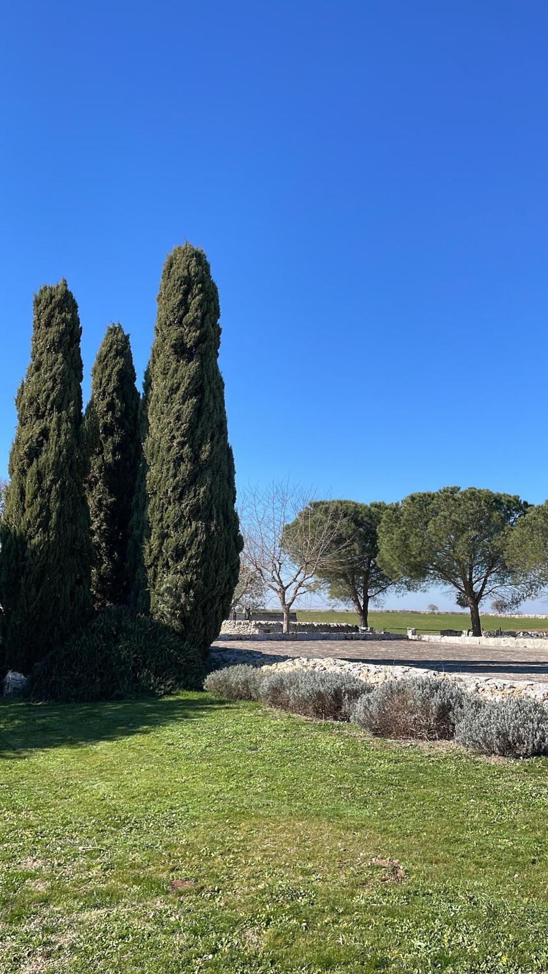 Masseria La Mandra Noci Ngoại thất bức ảnh
